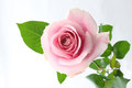 9a1ee6c3 f20b 4dea a73c 6f1099d6a5b7