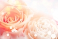 A7a5432d 9329 49ac 8dad d63455115577
