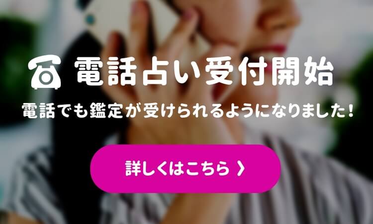 Tel fortune home item